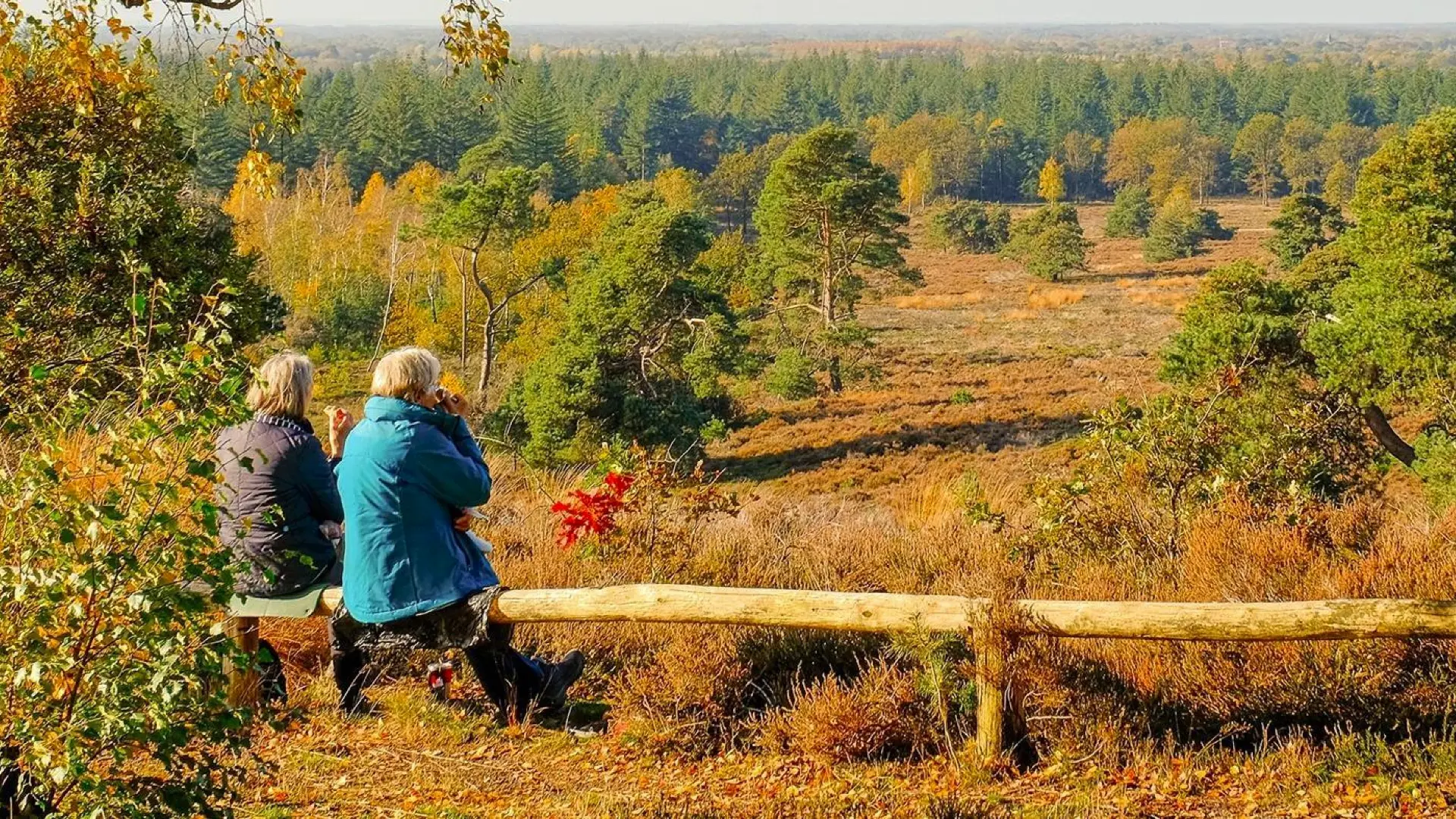 Photo 6 of Outdoors Holten