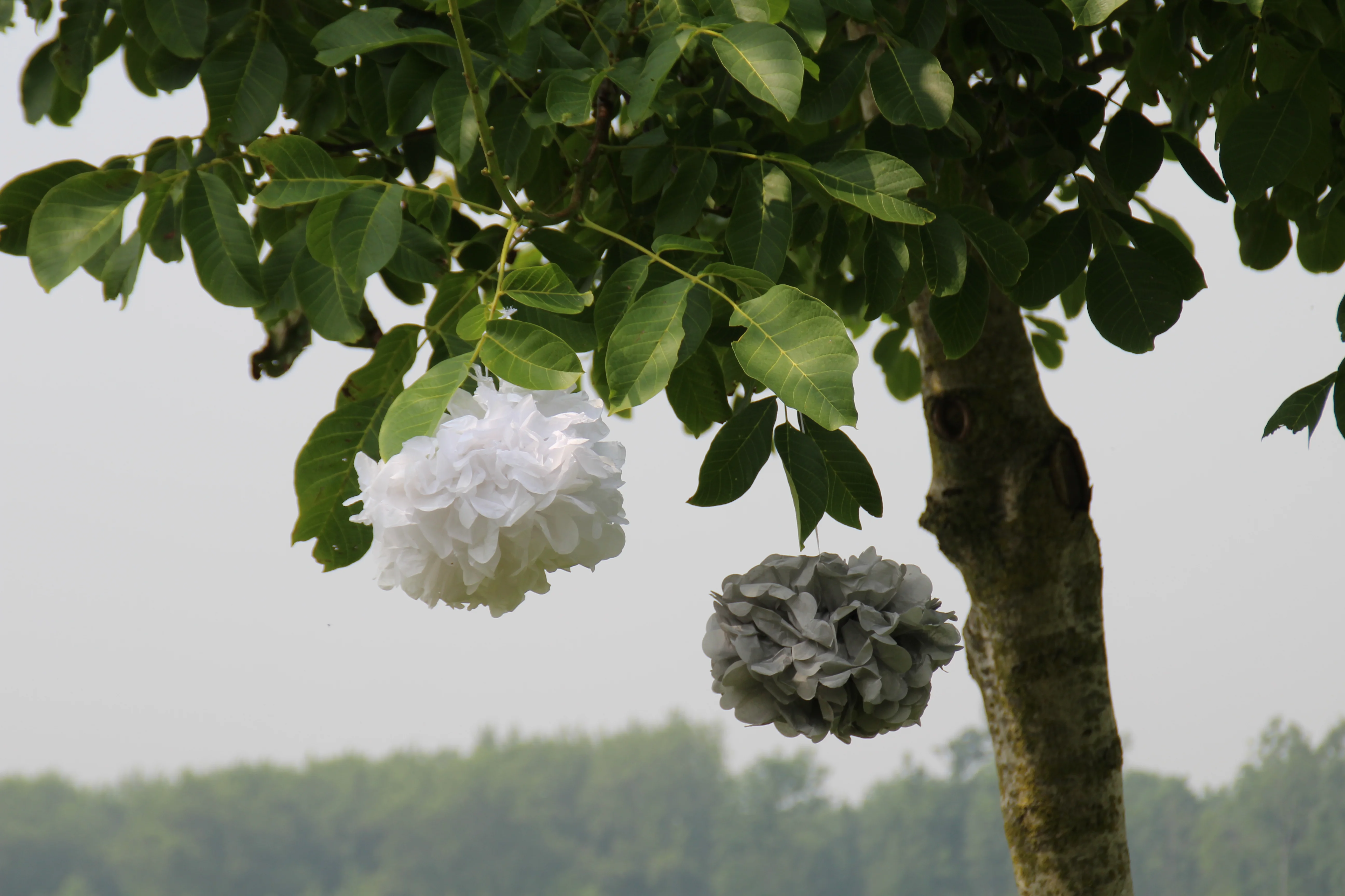 Photo 5 of De Meeuwenhoeve