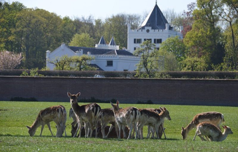 Photo 6 of Landgoed Sandenburg
