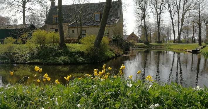 Photo 3 of Dekema State